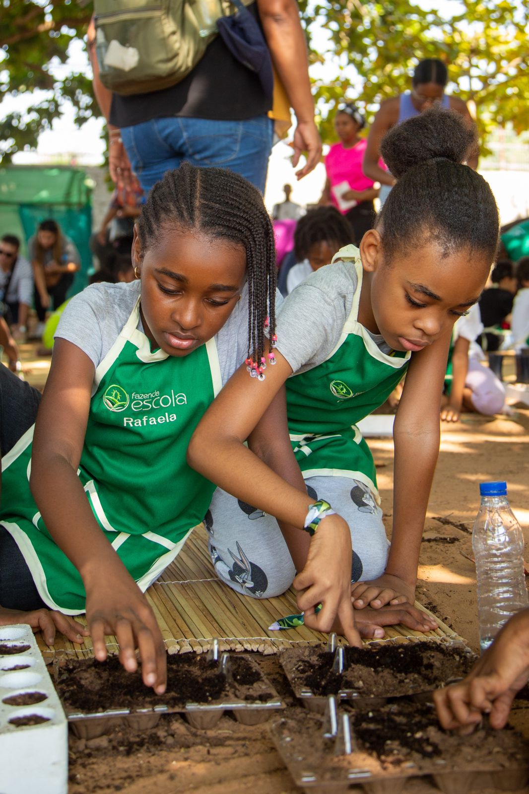 WhatsApp Image 2024-05-23 at 16.36.31