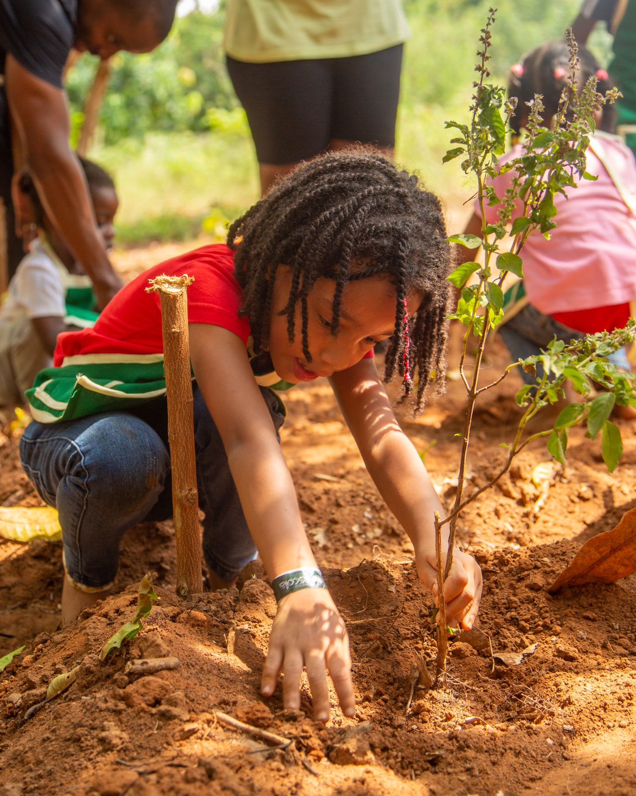 WhatsApp Image 2024-05-23 at 16.57.56